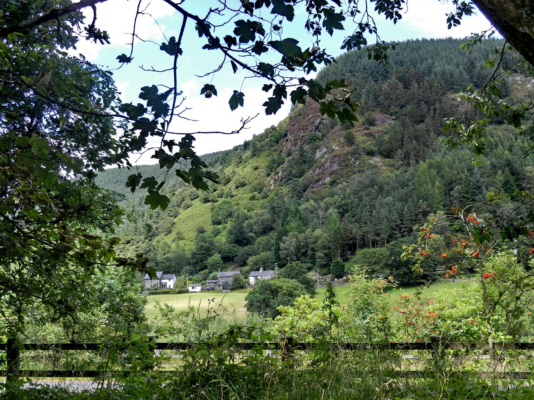 Corris